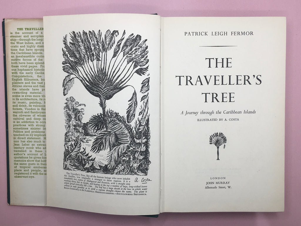 travellers tree book