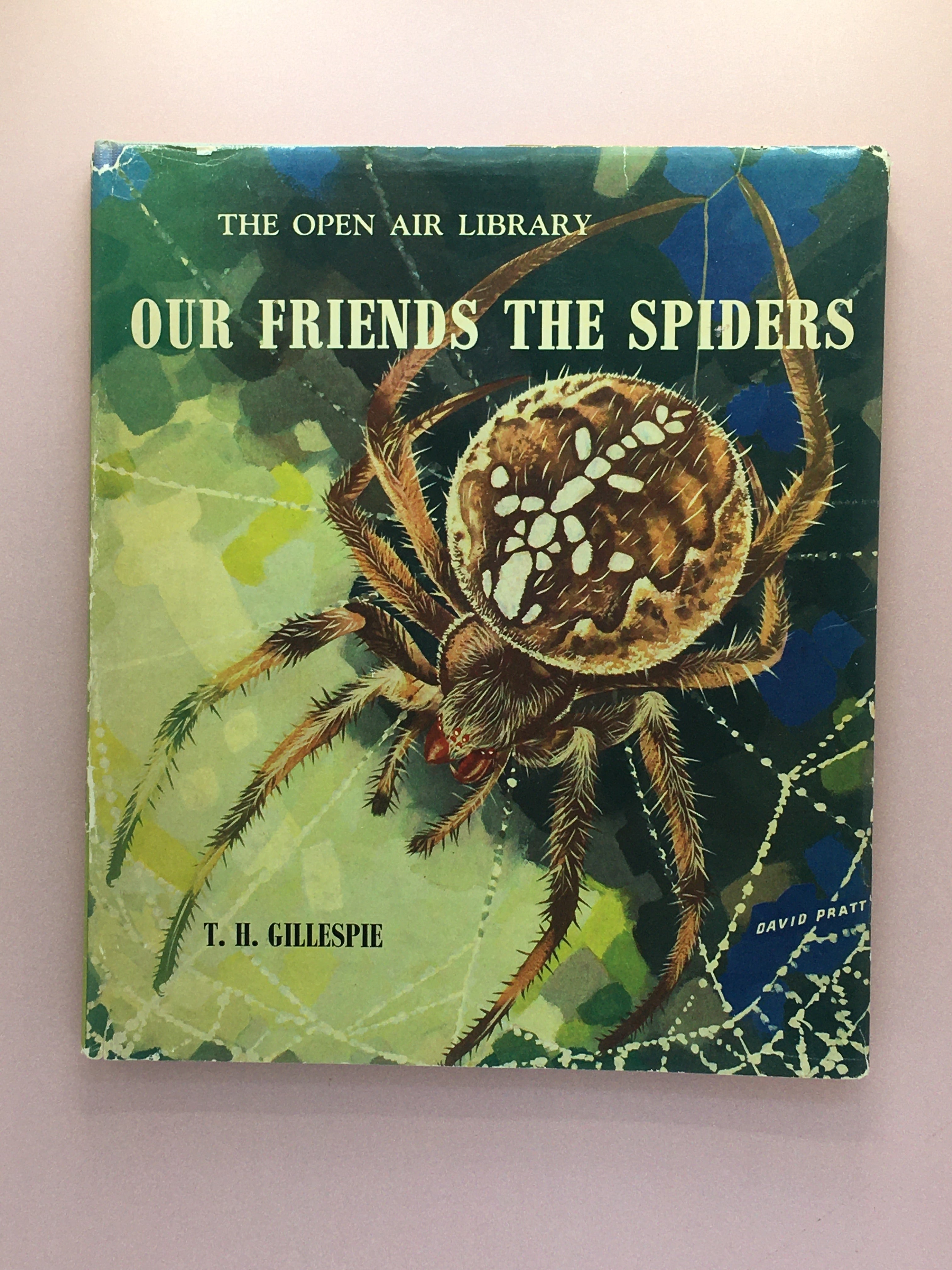 Our Friends the Spiders – The Goose Books